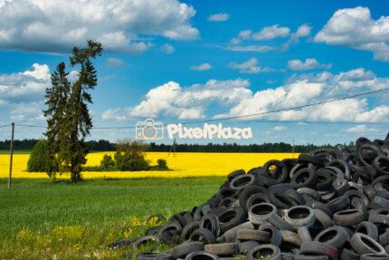 Contrasting Landscapes: Pile of Tires Against Yellow Rapeseed Field
